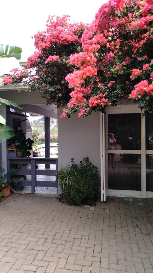 Casa Deni Villa Nova Petropolis Eksteriør bilde